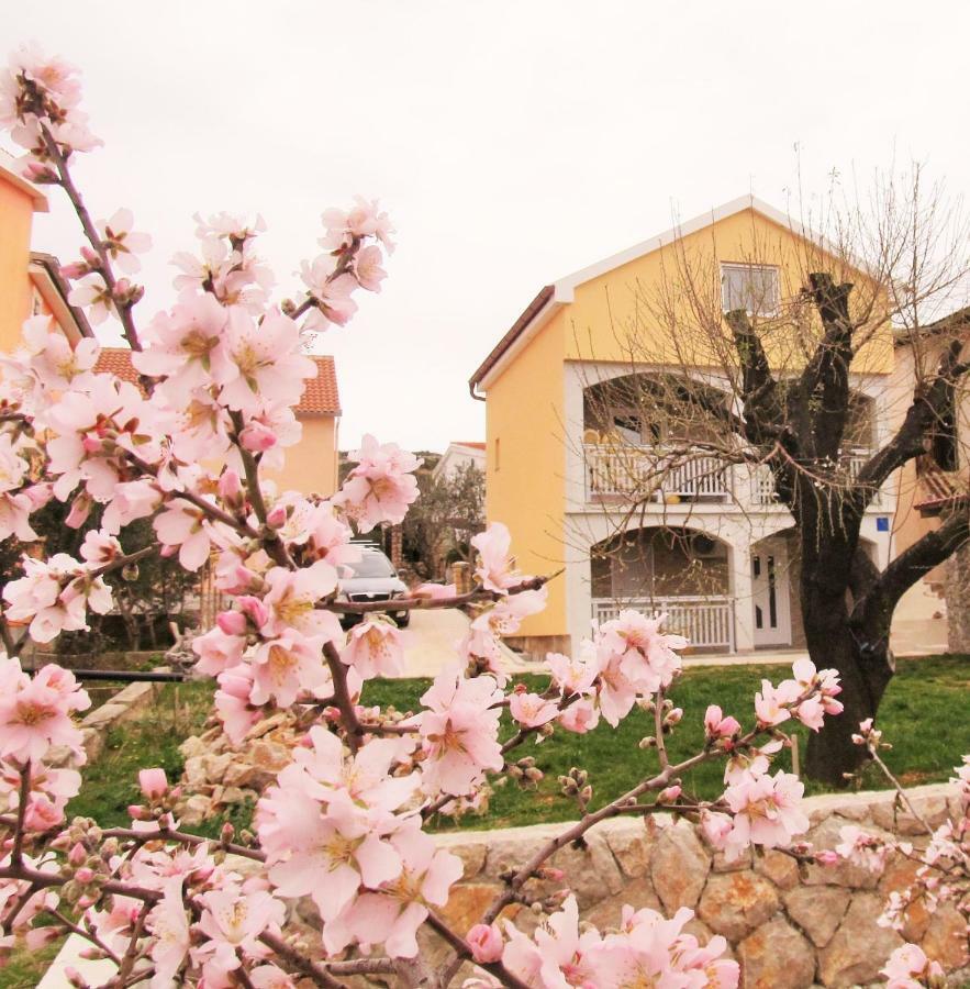 Apartmani Mala Sirena Maslenica Zewnętrze zdjęcie
